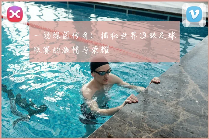 一场绿茵传奇:揭秘世界顶级足球联赛的激情与荣耀