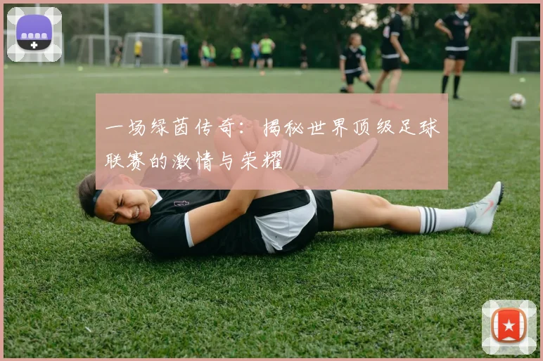 一场绿茵传奇：揭秘世界顶级足球联赛的激情与荣耀