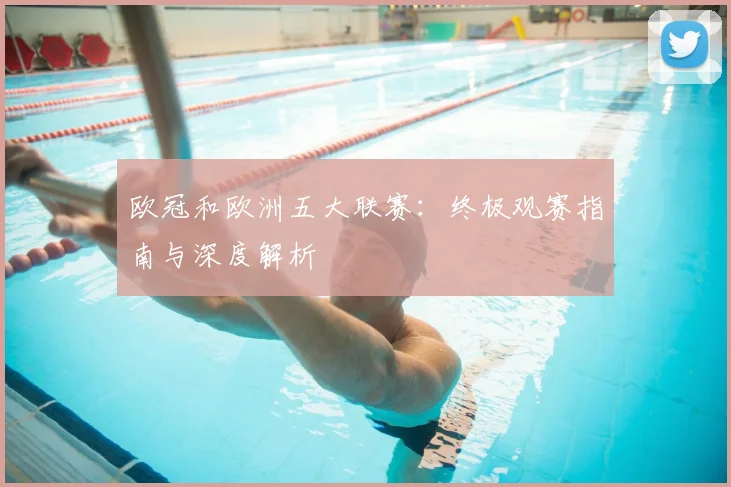 欧冠和欧洲五大联赛:终极观赛指南与深度解析